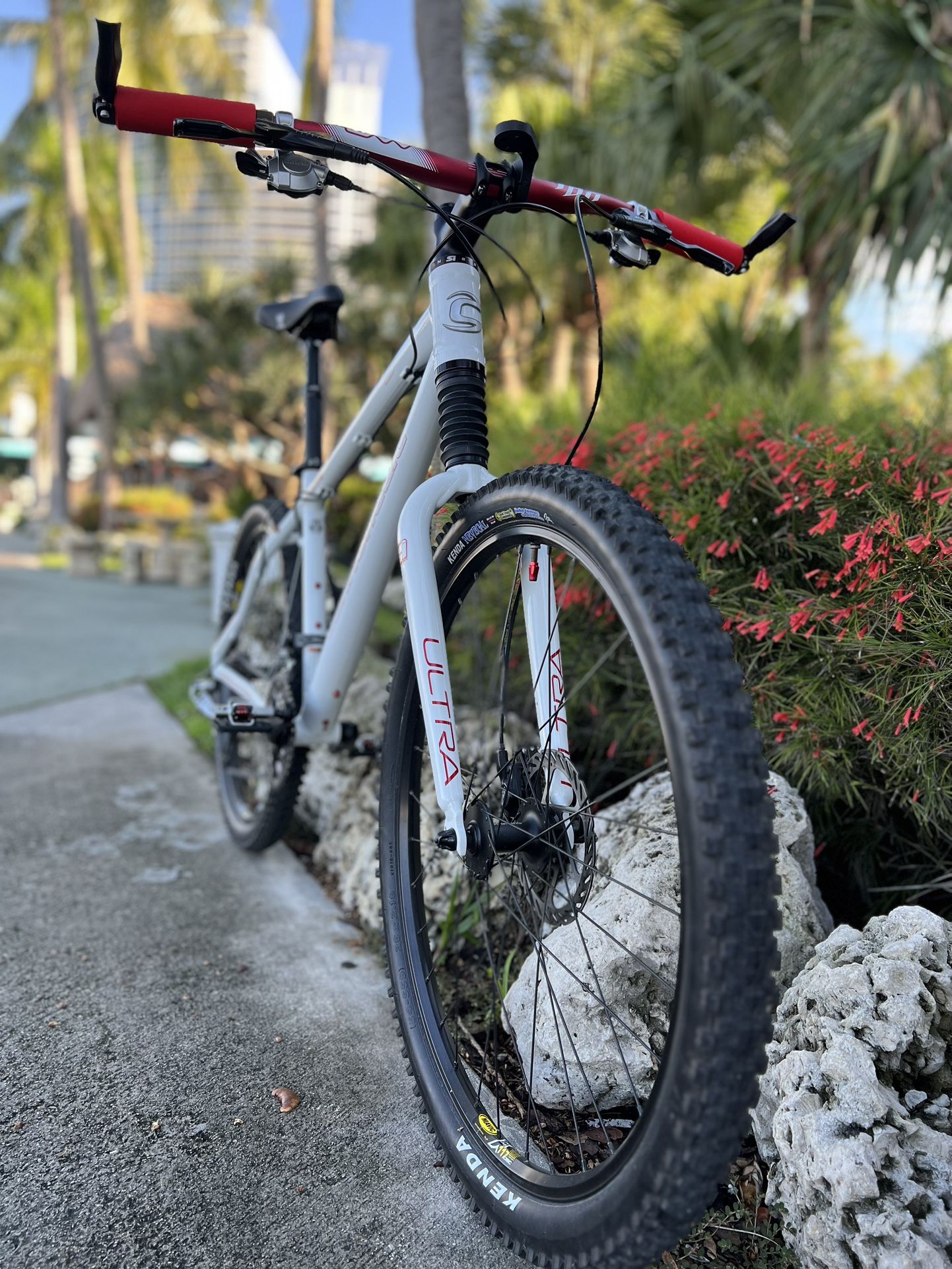 Cannondale Caffeine F3 Collectors Quality