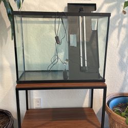 Fish Tank 