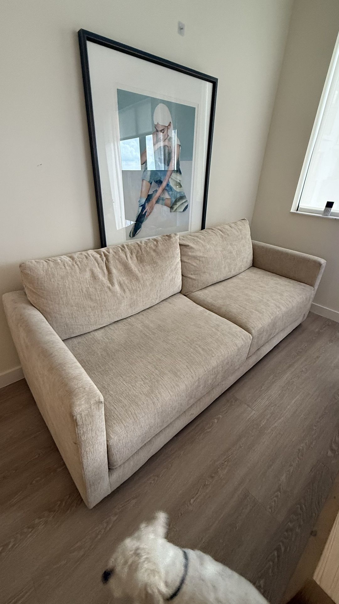 Crate And Barrel Sofa