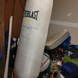 100 Pound Punching Bag 
