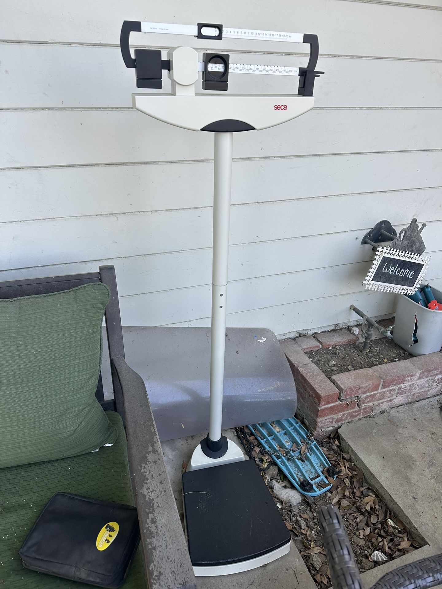 Seca Scale
