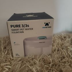 Pet.  Water.  Fountain Water