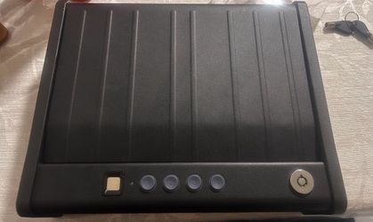 Biometric Gun Safe keys are included