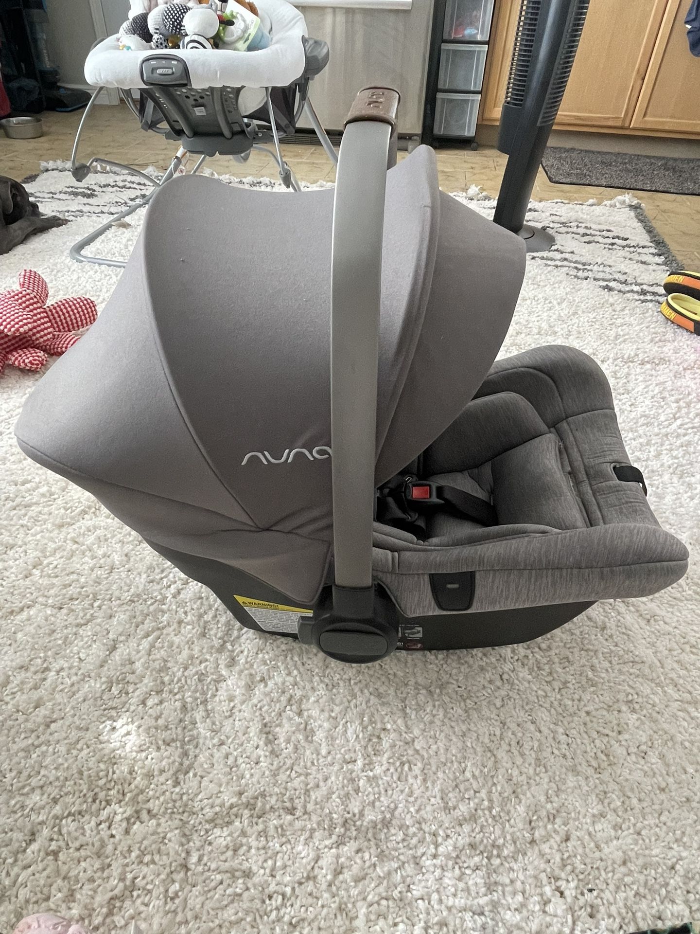 Nuna car seat 