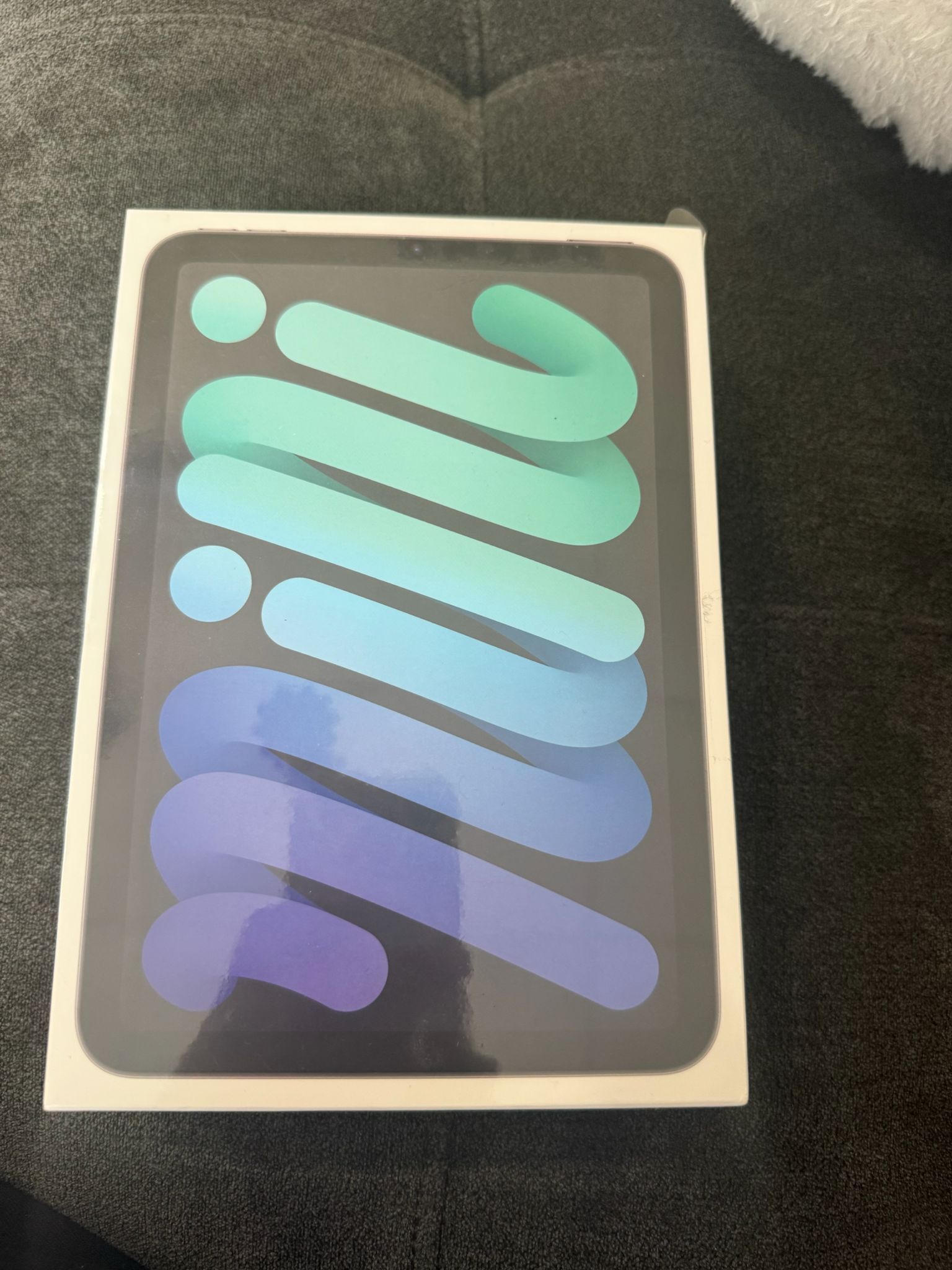 iPad mini 6th generation 64 gb