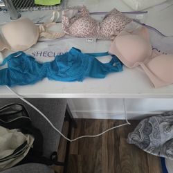 Shecurve Bras
