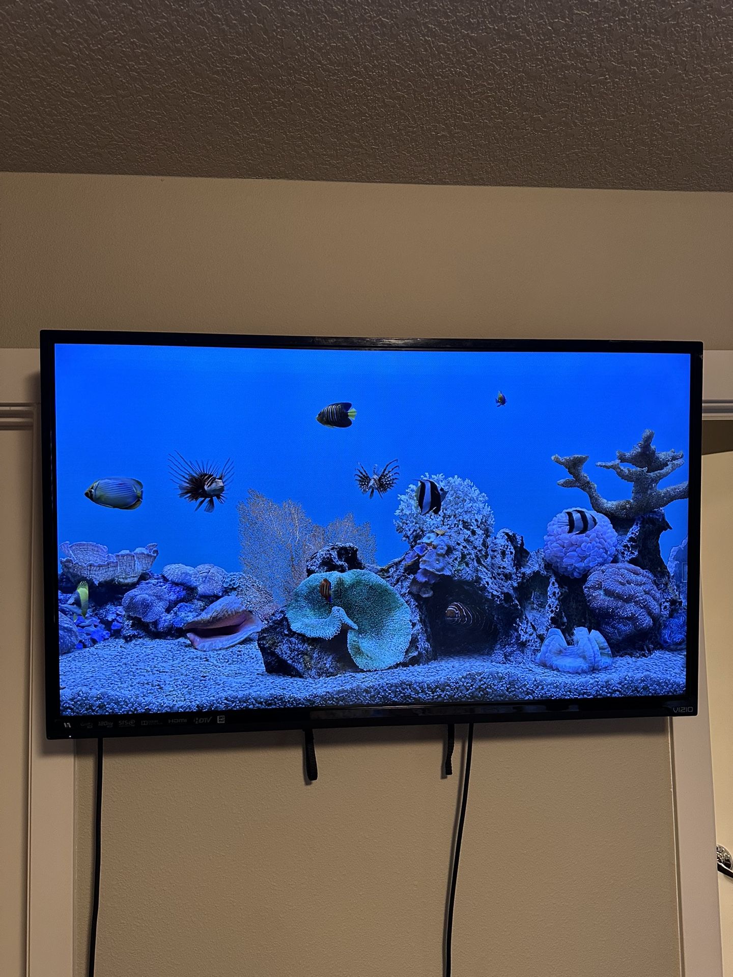 32’ Vizio TV, Roku, & Wall Mount