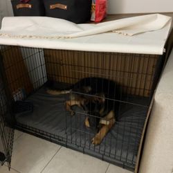 Dog Crate With Wood Topper