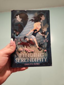 Finding Serendipity