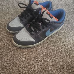 Patagonia NIKE SB