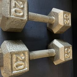 20 LBS Dumbbells