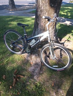 Specialized Expedition Excellent Condition $165