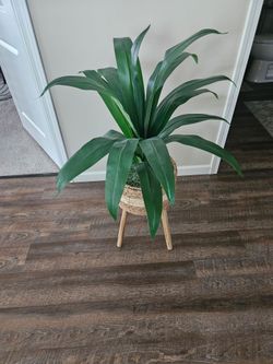 Artificial plant