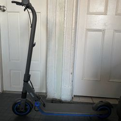 Electric Scooter Ninebot