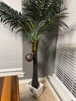 Artificial Malibu rum tree