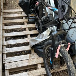Bike 20 X 4,0