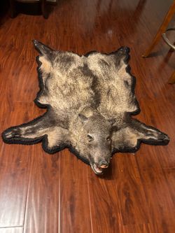 🔥Real 🤵🏻‍♂️1st class Taxidermy !!👨🏻‍🎨 🐗Javelina Fur Pelt 🏹Rug with Black Felt Backing