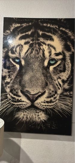 Larger Tiger photo