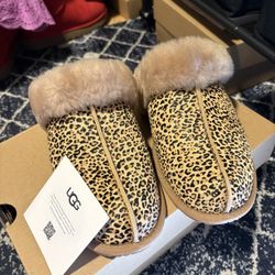 Ugg Slippers