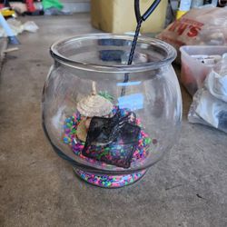 Fish Tank.  