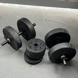 2 10lbs and 4 2.5 Lbs weights