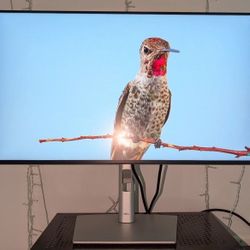 Dell 24" Monitor - Unboxed / Brand New