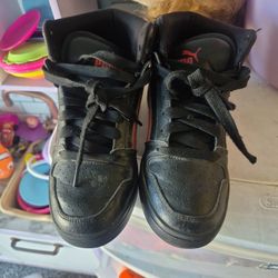 Pumas 5.5