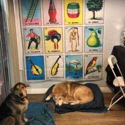 Loteria/ Mexican Party Decorations