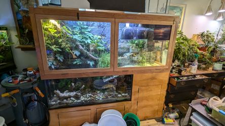 Aquatic Turtle Habitat