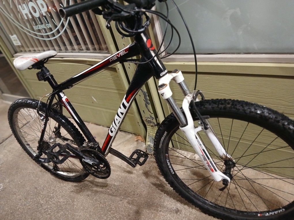Giant Mountain Bike