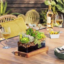 Medium Glass Terrarium With Wood Base Rectangular Natural Wood