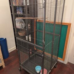 Bird Cage