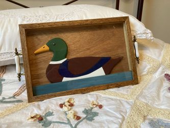 Hand made wooden Duck in a glass and wooden frame.
