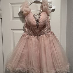Rose Pink Dress