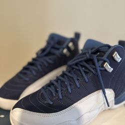 Air Jordan 12 Retro SE 