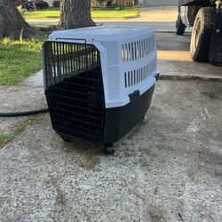 Dog Cage