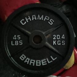 45lb Pair Olympic Weight Plates