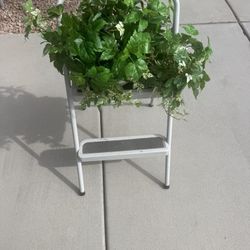 Two arrangements In Pots