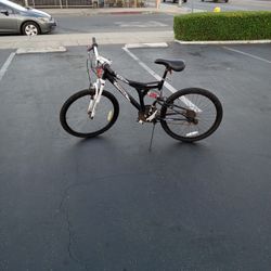 MEGA FLEX Bike #24