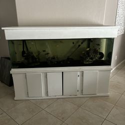 150 Gallon Fish Tank