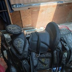Saddles 16"