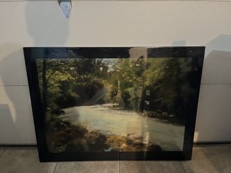 Black Nature Picture