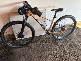 Giant Mountain Bike