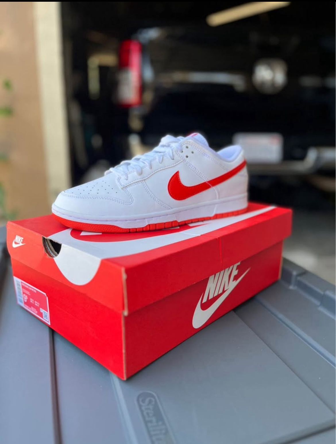 Nike Dunks
