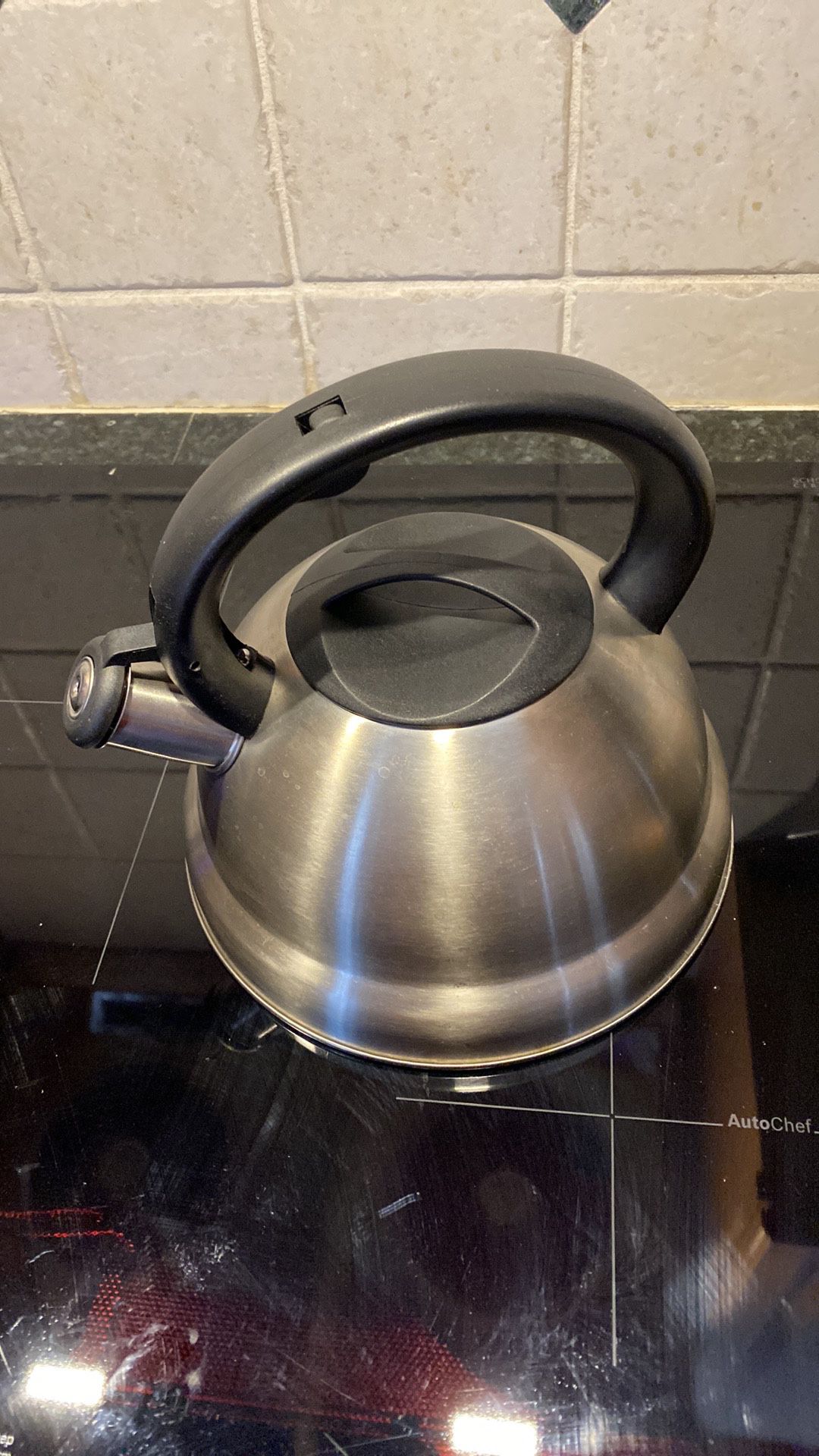 Whistle Kettle Stainless Steel