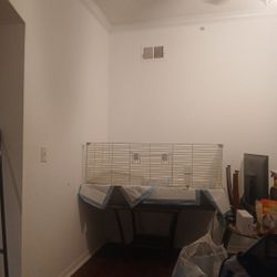 Large Cage Twin Guinea Pigs For Free