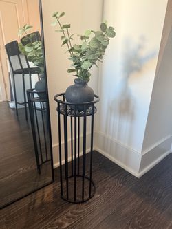 Black Metal Plant Stand with plant