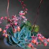 Artisan Jewelry by Shawna Cochran