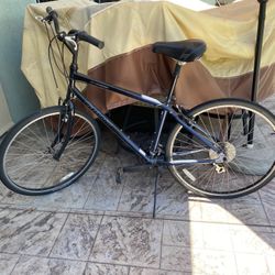 2 Bikes- Cypress Giant