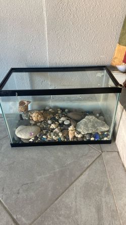 Fish Or Turtle Tank